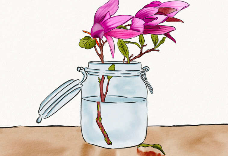 Hand Drawn Watercolor Illustration of a Glass Jar With Flower