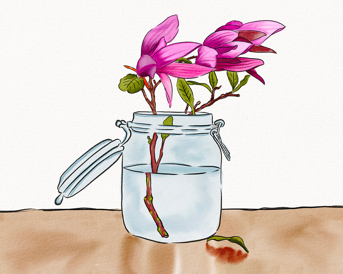 Hand Drawn Watercolor Illustration of a Glass Jar With Flower