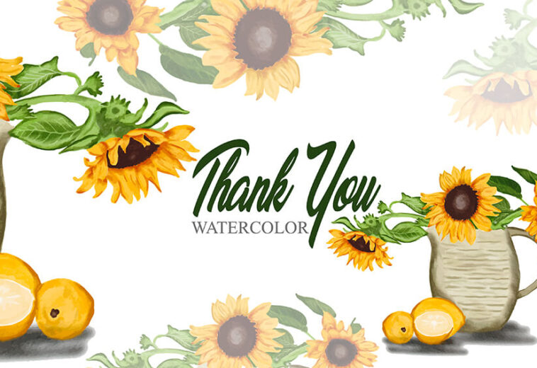 Hand Drawn Watercolor Thank You Card Sunflower Illustration