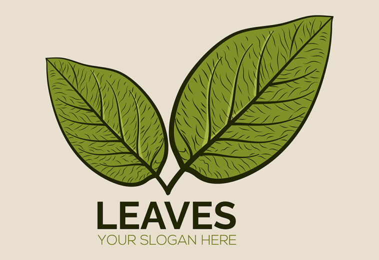 Hand Drawn Vector Vintage Leaf Logo Leaf Sketch Logo Concept