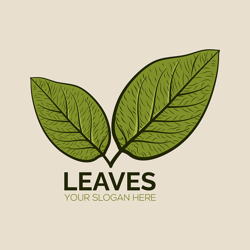 Hand Drawn Vector Vintage Leaf Logo Leaf Sketch Logo Concept